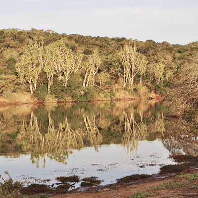 Südafrika - Das Sibuya Game Reserve