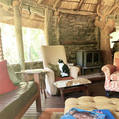 Hauptgebäude des Forest Camp mit Wachkatze