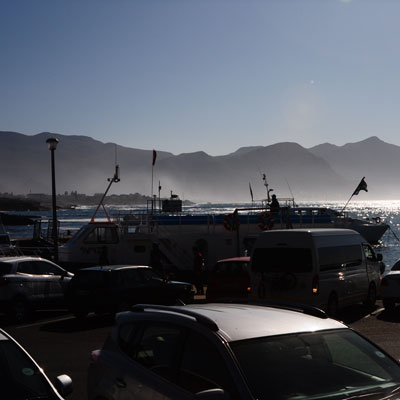 Der Hafen früh am Morgen