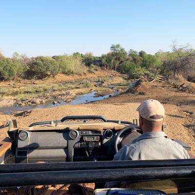 Game Drive = Safari